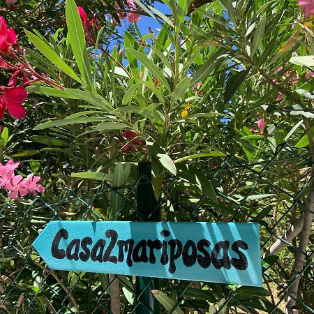 הוילה מיחאס Casa 2Mariposas מראה חיצוני תמונה