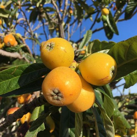 הוילה מיחאס Casa 2Mariposas מראה חיצוני תמונה
